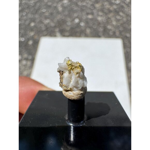 Gold on Quartz - Natural California Gold Specimen in Perky Display Box - #8 - Picture 6 of 7